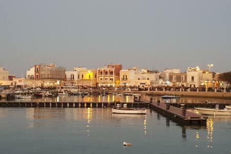 Appartamento Terrazza Sul Mare